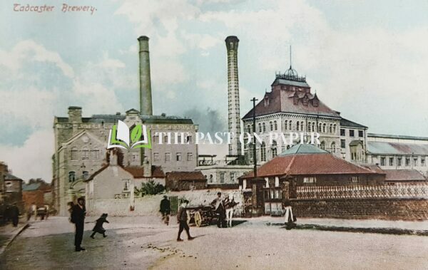 Unused postcard of Tadcaster Brewery