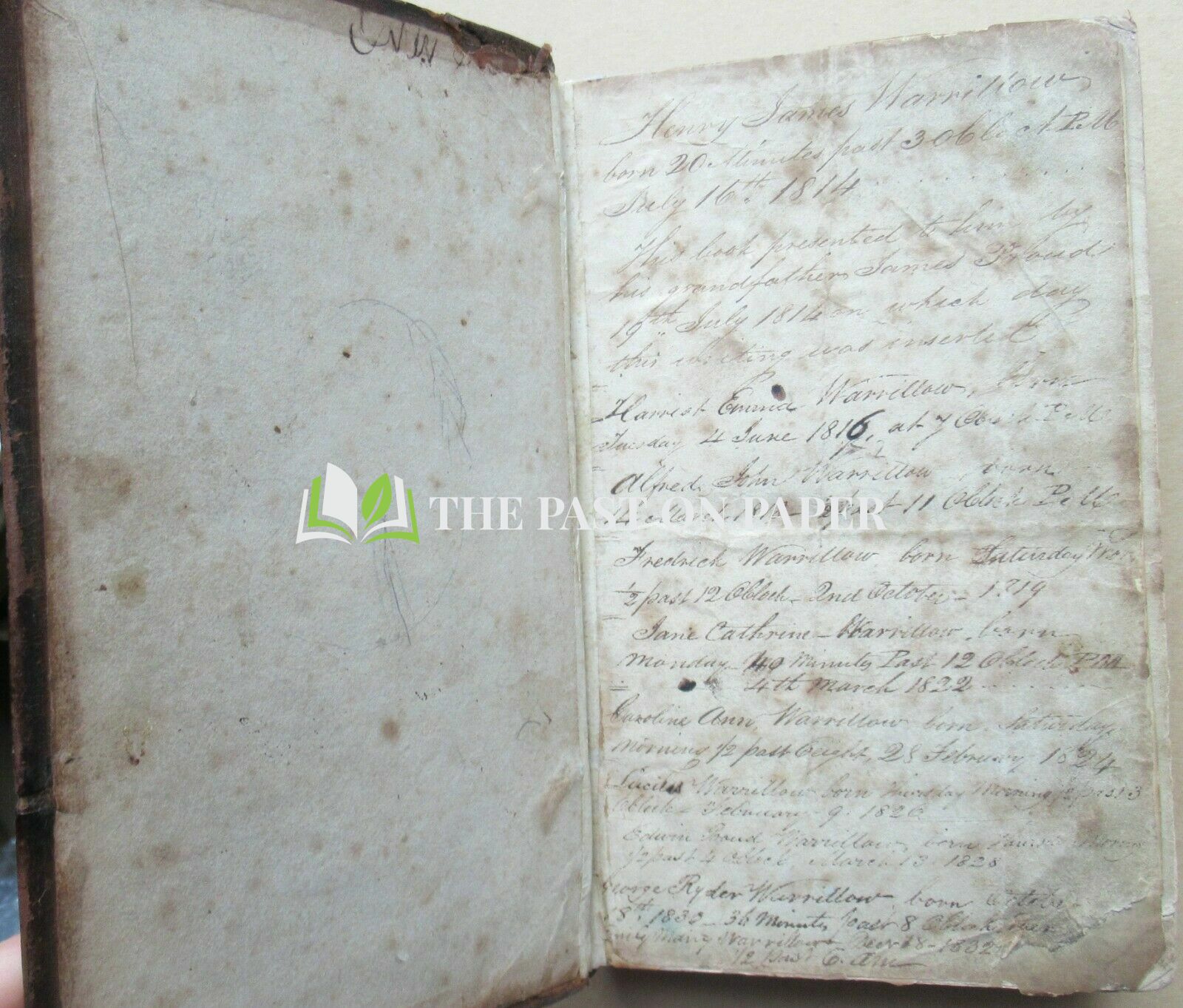 Warrillow Family Bible - Past On Paper